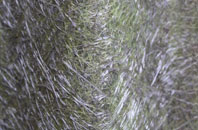 Cardhu fibreglass roof work